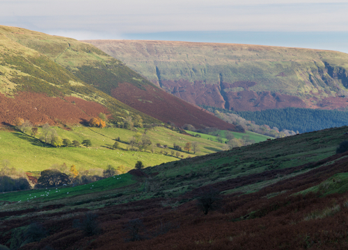 Heart Of England